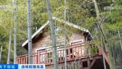 室内榻榻米春游升温 民宿预订、汽车租赁、郊外露营迎来高峰期